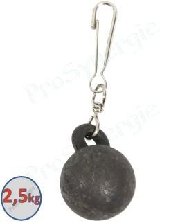 Poids de ramonage 2,5kg avec mousqueton pour hérissons à anneaux